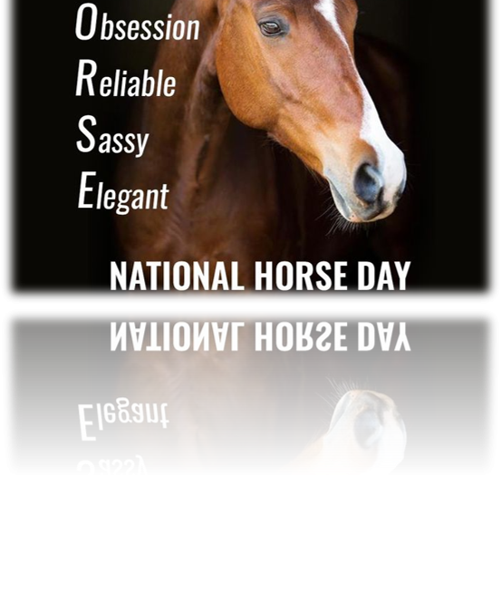 Join us for Open Equine Day in honor of National Horse Day – June 1st