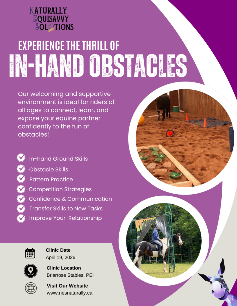 Experience The Thrill of In-hand Obstacles Clinic